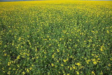 《永劫无间》新赛季前瞻 网易云游戏免激活码试玩带你提前尝新