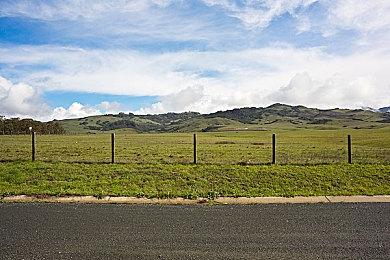 《瘟疫传说：安魂曲》全新实机预告片公布